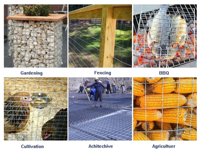Klatka dla zwierząt No Rusty 201 Siatka spawalnicza ze stali nierdzewnej 1